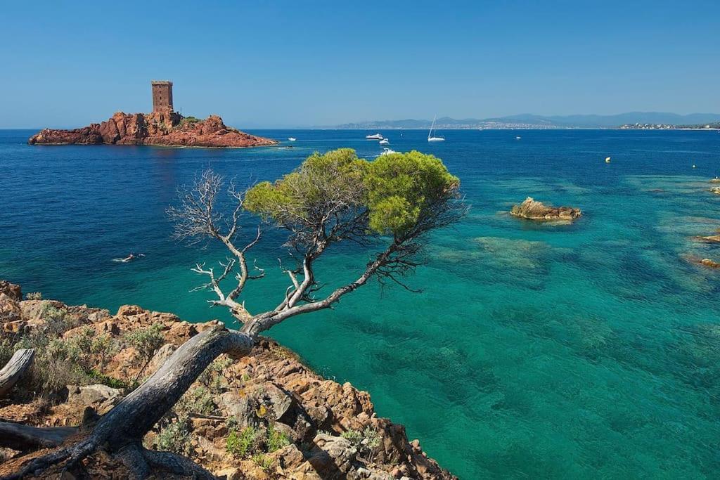 Avec Jardin, Piscine, Plage, Tennis Apartment Frejus