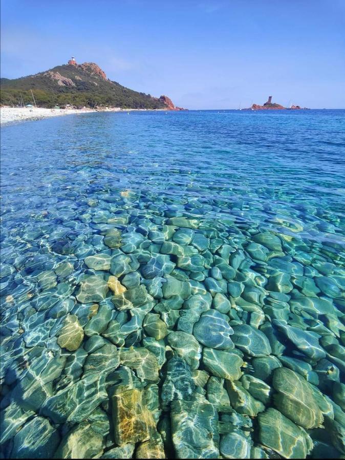 Avec Jardin, Piscine, Plage, Tennis Fréjus